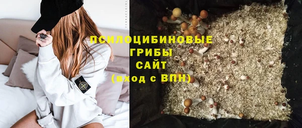 стаф Абдулино