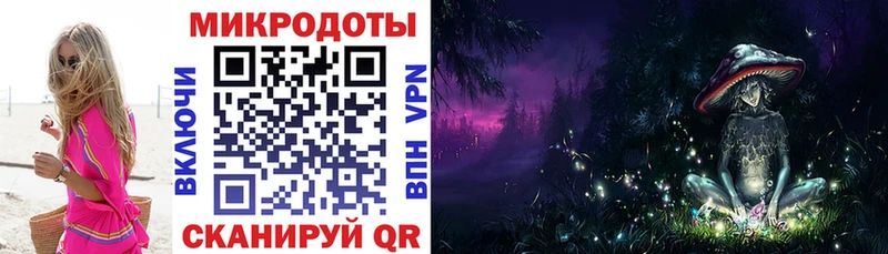 Псилоцибиновые грибы Psilocybine cubensis  Петров Вал 